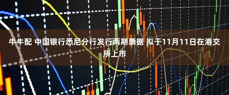 牛牛配 中国银行悉尼分行发行两期票据 拟于11月11日在港交所上市
