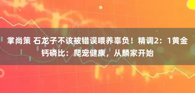 掌尚策 石龙子不该被错误喂养辜负！精调2：1黄金钙磷比：爬宠健康，从麟家开始